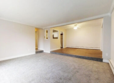 Granada-205-12222018_122500