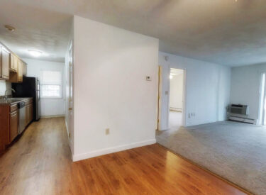 ptF1My8CHZU-07.06.2018_20.49.54