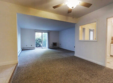 vyGer5qwq9v-07.16.2018_15.51.13